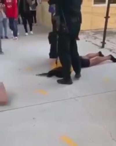 Cops arresting a girl by throwing the student to the ground knocking her unconscious while at school. Folks this shit is for real. We are headed in the wrong direction!
