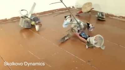 The Vadim machine