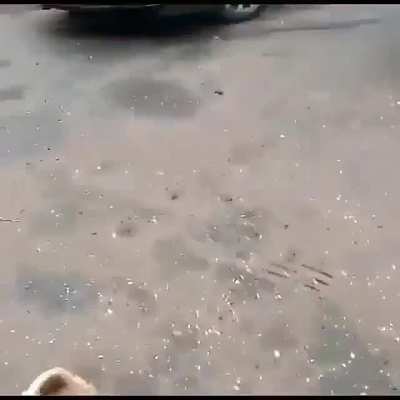 Video original pfv .grato