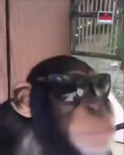 Se le ve bien fresco al pana Toreto no te voy a mentir