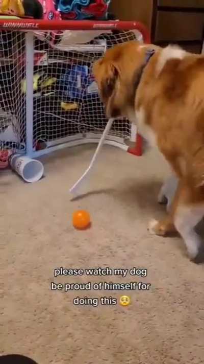 The bestest of goals by the goodest of bois.