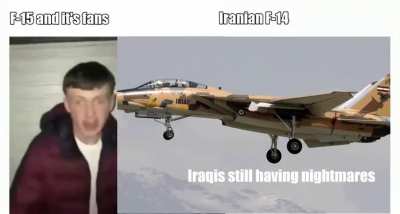 Iranian F-14