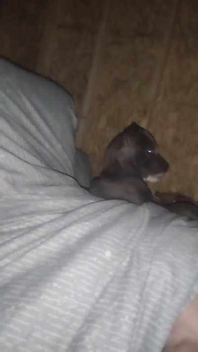 My alarm clock