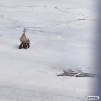 How it feels to play squads right now