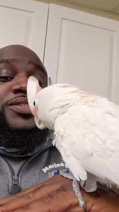 Guy beatboxes, bird dances