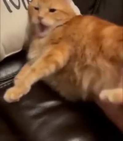 Come join me in feeling bad for laughing!