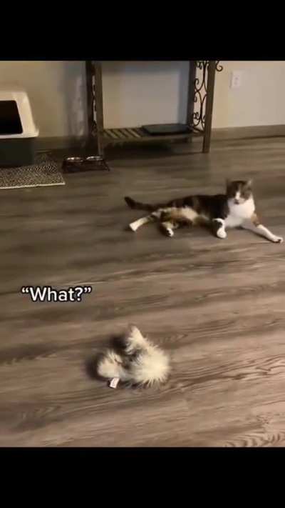 I've watched this a million times