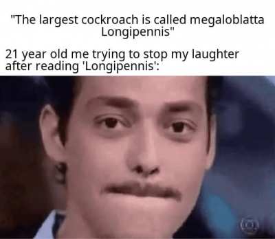 now i understand why they're called 'cock'roaches