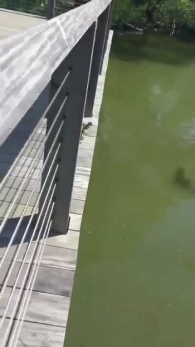 Wait for it