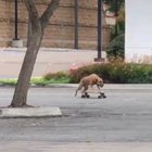 Bros cruising the streets