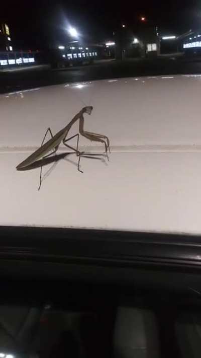 Look at that homie