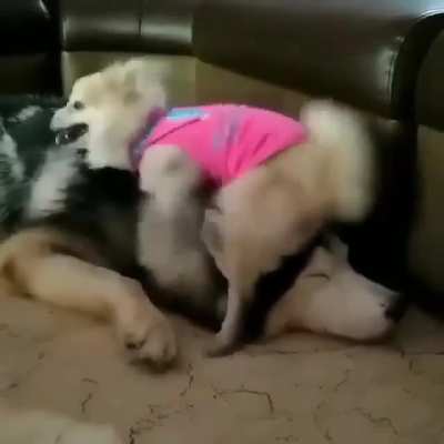 Вообщем все счаст<wbr>ливы