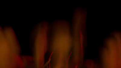 Fazbear Fright Characters jumpscares V3