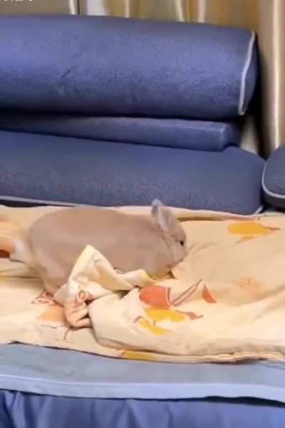 How to take a nap!