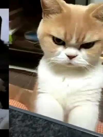 :0