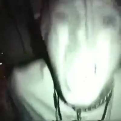 👽