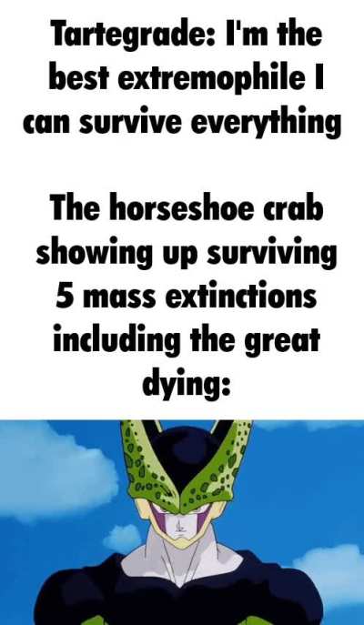 Horseshoe crabs also have not evolved for 445 million years so they are God's perfect creation
