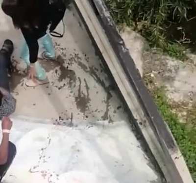 Tourist is attacked by crocodile after ‘mistaking it for a plastic model and posing for selfie’ 💓😄 💓🔥💋🥰