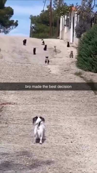 Bro made the best decision