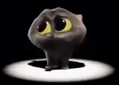 check out this really cute cat