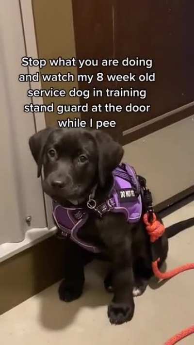 Never Been Safer