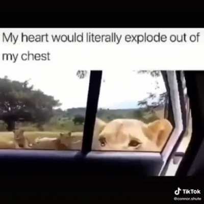 Volume Warning
