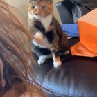 Mistakes were made..