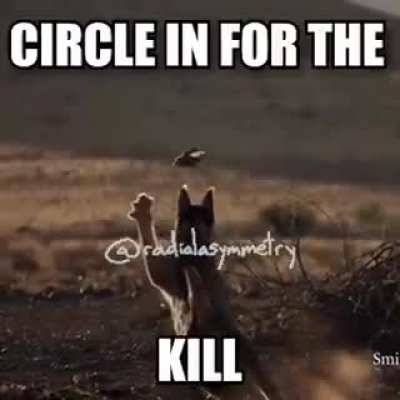 Rule