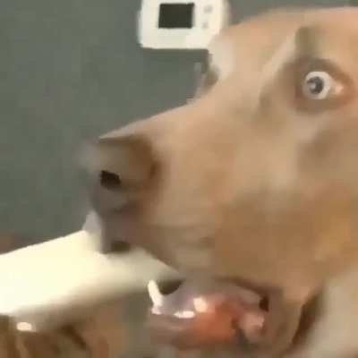 He has seen so shi