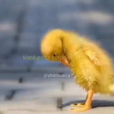 Emocionante