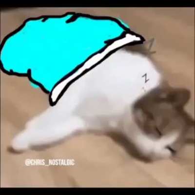 Rule