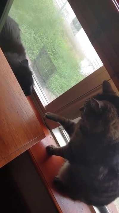 I'm not touching you