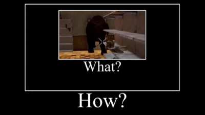 How?