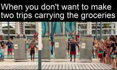 The groceries are in the fridge
