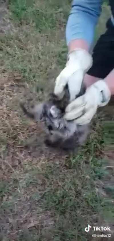 Little guy
