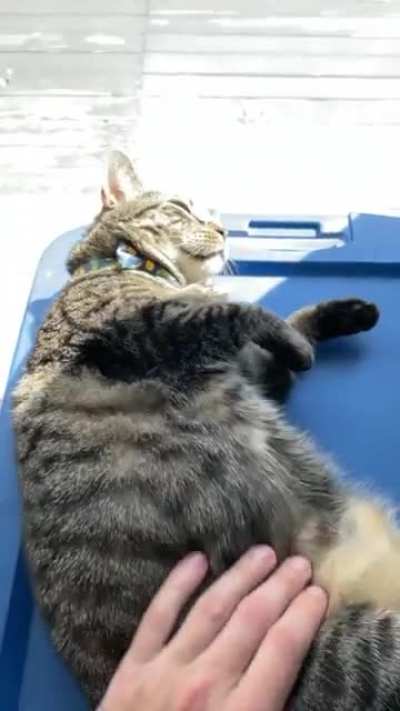 A very sleepy roll