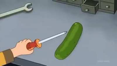 pickle rule