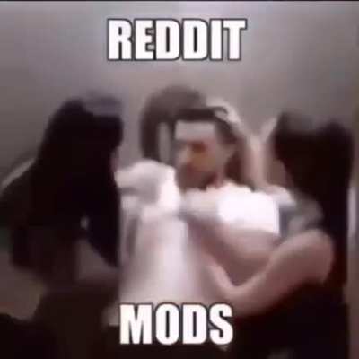@mods this you