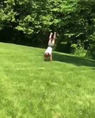 Прямо к эльфам!
