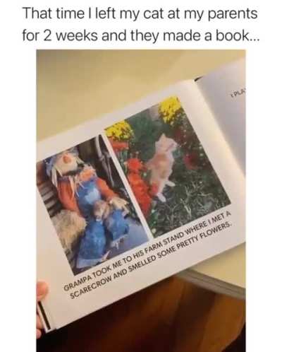 Peak Fiction 