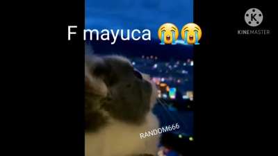 💔