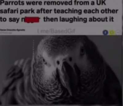 They are learning