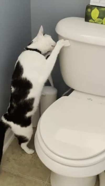 Who needs opposable thumbs?