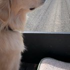 Enjoying the nice weather