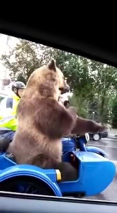 Best Sidekick Ever