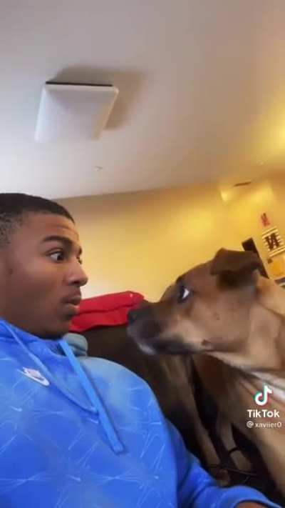Bark at your dog