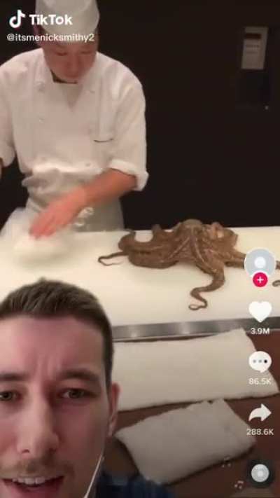 This Octopus has lost his mind