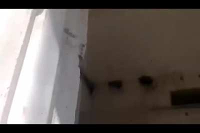 Holy Fucking Fuck The Spiders Have Taken Over