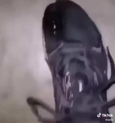 Envidiame las zapas