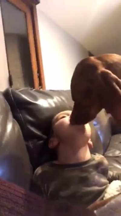 should have swallowed